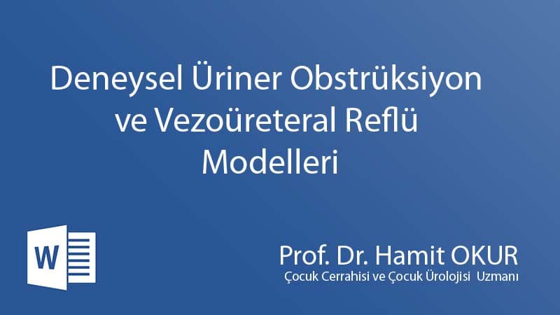 DENEYSEL ÜRİNER OBSTRÜKSİYON VE VEZOÜRETERAL REFLÜ MODELLERİ