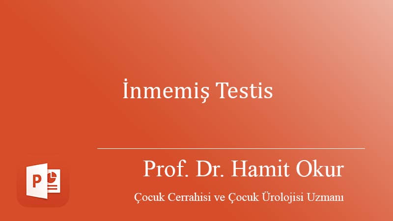 İnmemiş Testis